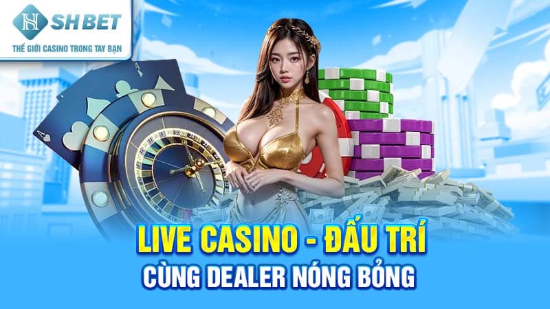 Live casino - Đấu trí cùng dealer nóng bỏng