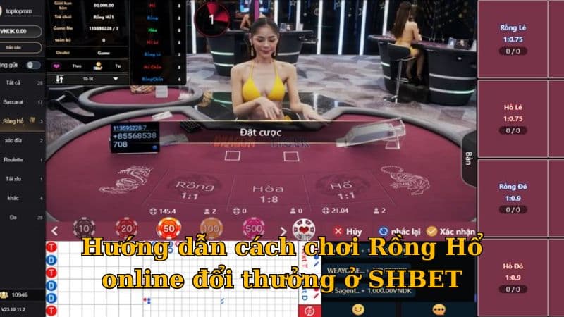 Cách chơi Rồng Hổ online cần nắm rõ