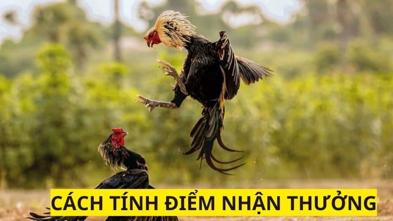 Cách tính điểm và nhận thưởng nhanh khi chiến thắng