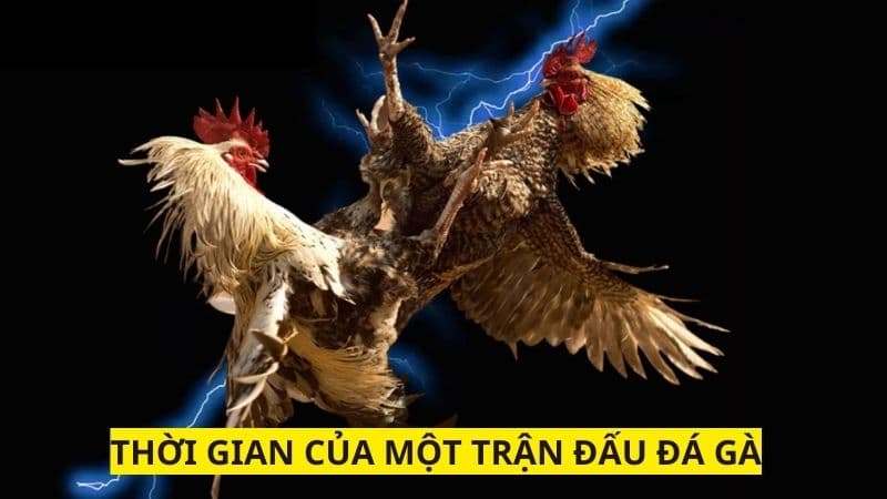 Thời gian trung bình chậm nhất mỗi trận là 15 phút