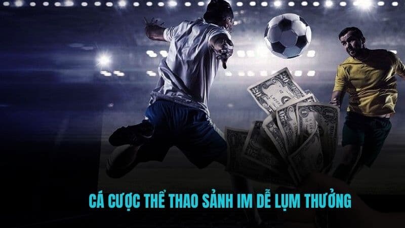 Cá cược thể thao sảnh IM dễ lụm thưởng